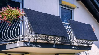 Heligan Blog Sunshine