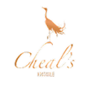 abe97d_b72841bb340f46f9bbf22236d0902013~mv2 2 (1).png